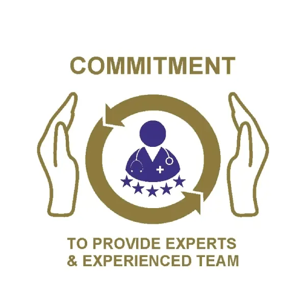 provide-Expert-and-Experienced-Team